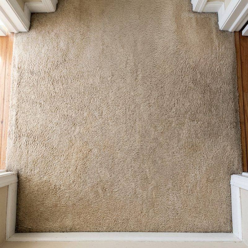 Tapete felpudo de sala depois da higienização, limpo e renovado